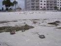 DSCN1673.jpg